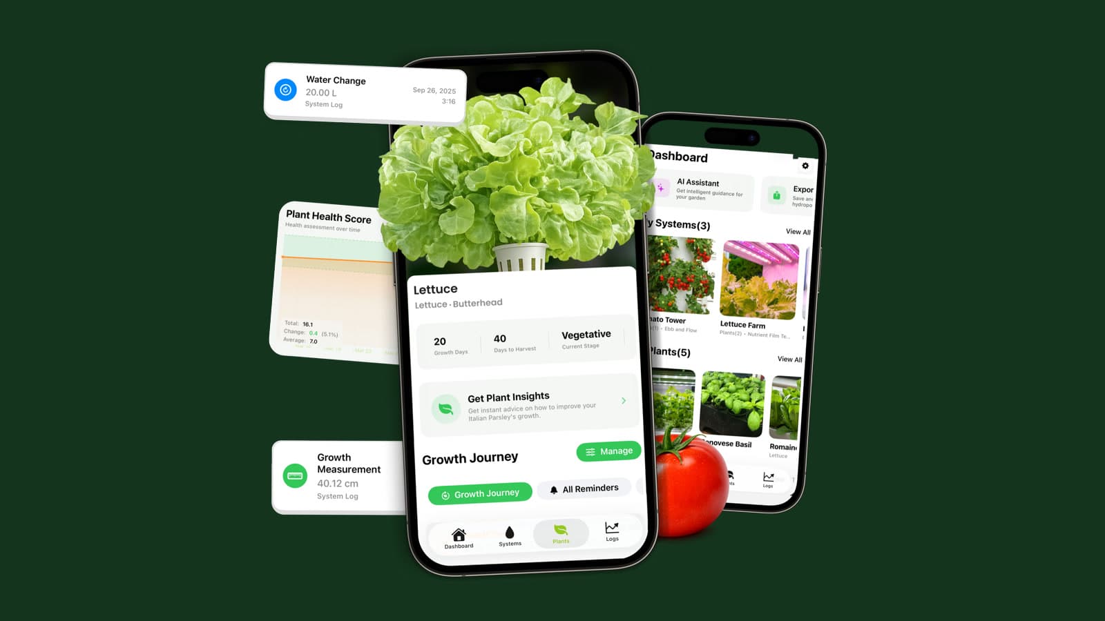 Hydrofy screens showing a hydroponic lettuce record, system dashboard, plant health trend, and water-change log